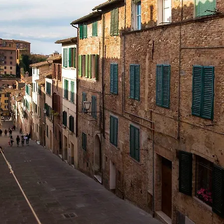 Cozy In The Heart Of *